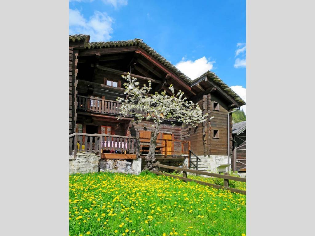 Chalet Martina Macugnaga Εξωτερικό φωτογραφία