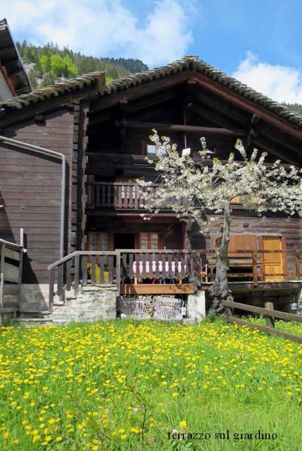 Chalet Martina Macugnaga Εξωτερικό φωτογραφία